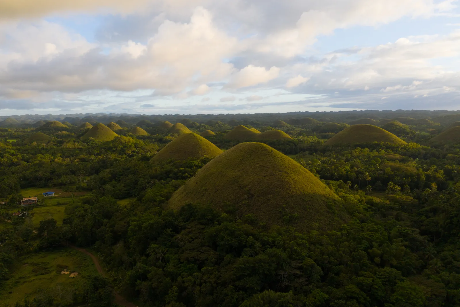 The Chocolate Hills in Bohol